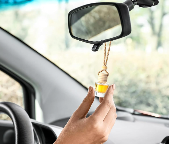Car Freshies (Hanging)