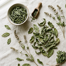 Spearmint Lose Herbs