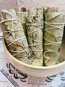 Eucalyptus Smudging stick